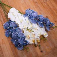 غصن اوركيد ازرق