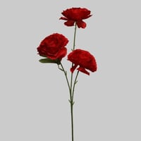 غصن روز احمر