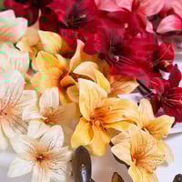 غصن ليلي وردي