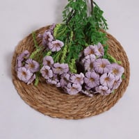 زهور الجلاديواس موف