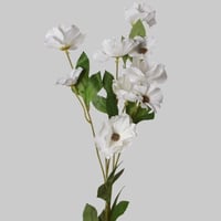 غصن كبير بورد ابيض