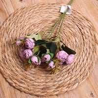 ورد بيوني ميني موف فاتح