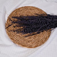 ورد لافندر مجفف كحلي