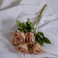 ورد جوري غبار الورد