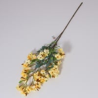 شيري بلوسم اصفر