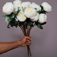 ورد بيوني موف