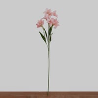 غصن الستروميريا اخضر