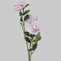 غصن البومبون موف فاتح