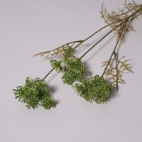 غصن زهرة السنديوم اخضر