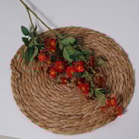 غصن بزهور احمر