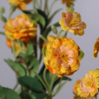 غصن بزهور وردي