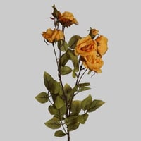 غصن زهور اصفر