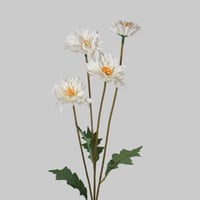 غصن زهر ابيض