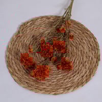 غصن قرنفل برتقالي