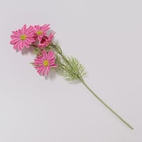 غصن ديزي وردي فاتح