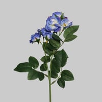 غصن روز ازرق