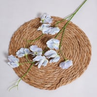 غصن البترفلاي ازرق فاتح