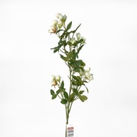 غصن ورد ابيض