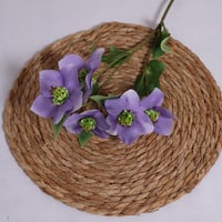 غصن بزهور موف