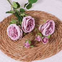 غصن بيوني موف