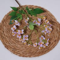 غصن زهور موف