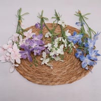 زهور برية وردي