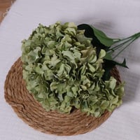 ورد الهيدرنجا اخضر