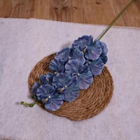 غصن اوركيد ازرق