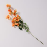 غصن بزهور برتقالي