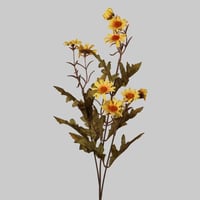 غصن زهور الاقحوان اصفر