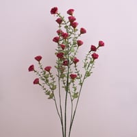 ورد بزهور صغيره موف