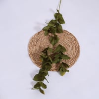 غصن خضار زيتي