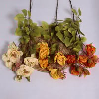 غصن زهور برتقالي