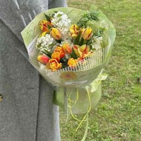 رول خيش 5 متر لحمي