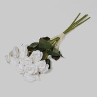 بيبي روز ابيض