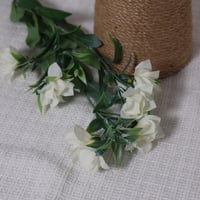 غصن زهور ابيض