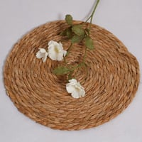 غصن زهور ابيض