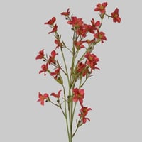 غصن زهور احمر مرجاني