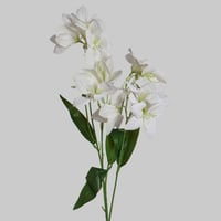 غصن الستروميريا ابيض