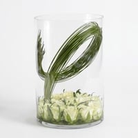 فازة زجاجية اسطوانية وسط