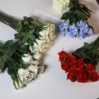 ورد بيبي روز ازرق