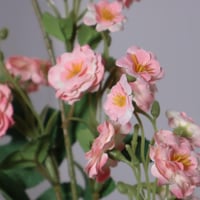 غصن بزهور اخضر