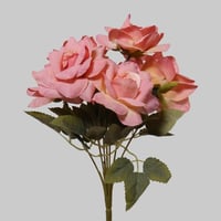 جوري مفتوح وردي