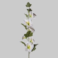 غصن ورد كبير ابيض