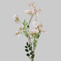 غصن بزهور وردي