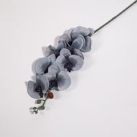 ورد اوركيد ازرق ثلجي