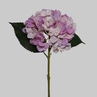 غصن هيدرنجا موف فاتح