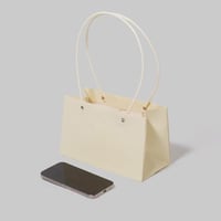 اكياس بيج (10 حبات)