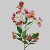 غصن زهور وردي