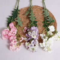 غصن جلاديواس وردي